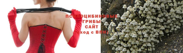 каннабис Аркадак