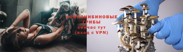 бошки Арсеньев