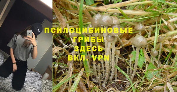 ПСИЛОЦИБИНОВЫЕ ГРИБЫ Армянск